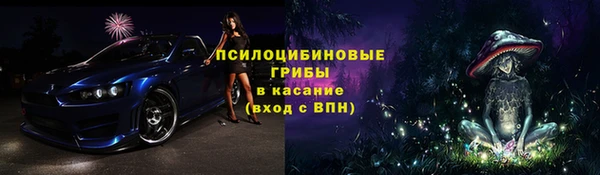 apvp Алзамай