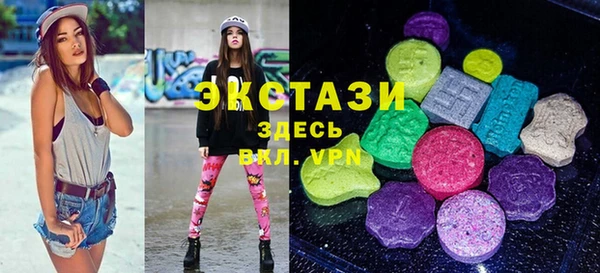 шишки Надым