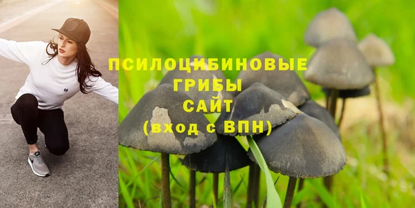 эйфоретик Абинск