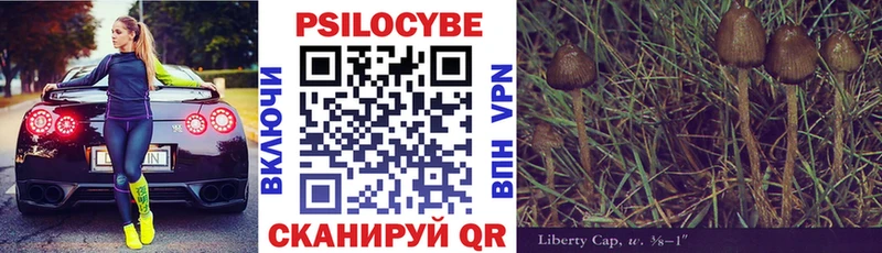 blacksprut   Щёкино  Псилоцибиновые грибы Psilocybe 
