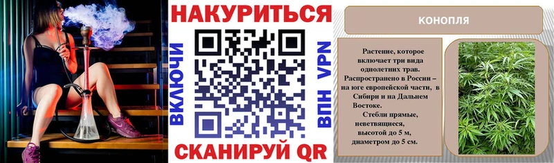 где купить наркотик  Щёкино  omg вход  Каннабис план 